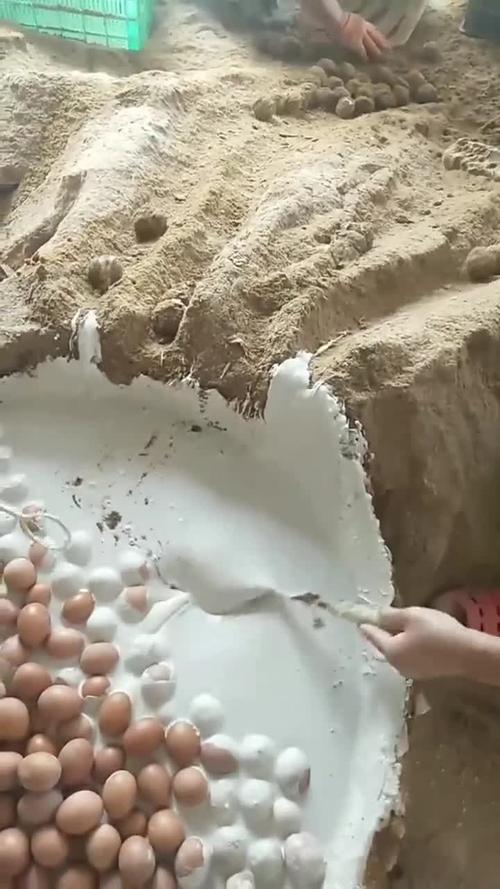 皮蛋制作方法及配方用石灰